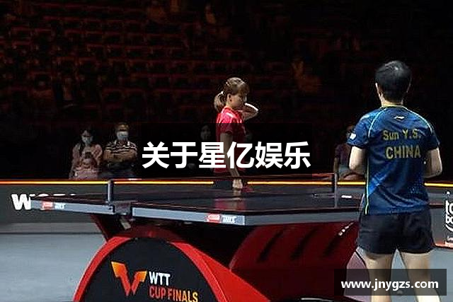 关于星亿娱乐